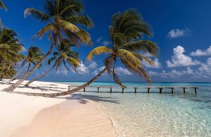 Royal Caribbean: Caribe Occidental y Perfect Day CocoCay