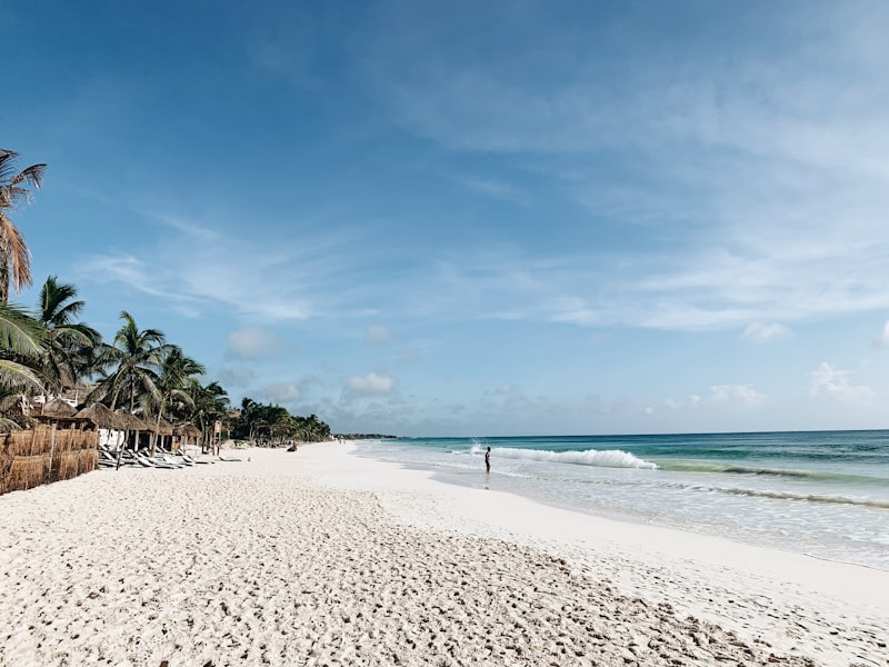 Playa de arena blanca con palmeras en la Riviera Maya